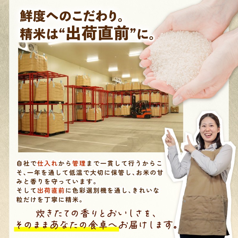 【定期便】 令和7年産 新潟県産こしいぶき 5㎏×3か月 【 新潟県 新潟産 新潟米 新発田産 新発田 お米 米 こしいぶき とんとん市場 せいだ 5kg 15kg 3か月 定期便 数量限定 玄米 D58_04 】