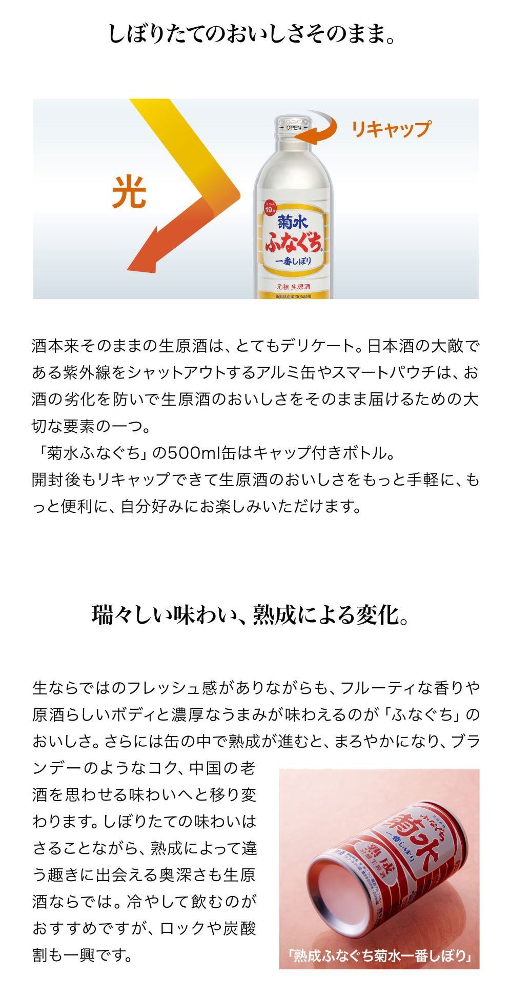 菊水 ふなぐち 辛口 500ml ボトル 缶 6本セット ｜ お酒 酒 日本酒 新潟 吟醸 醸造 本醸造 新潟県 新発田市 地酒 菊水酒造 E109_01