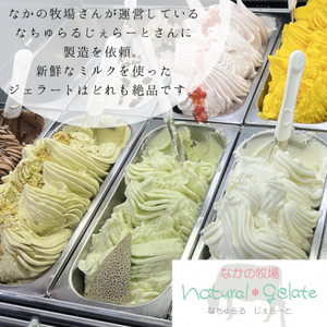 豆を味わう ジェラート 8個セット 【 宮野食品 豆 抹茶 ミルク あずき アイス なちゅらるじぇらーと F08 】