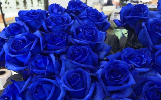 生産者直送！バラの花束 神秘的な青い染めバラ10本 【 バラ 生花 花束 フラワーアレンジメント 記念日 母の日 父の日 ギフト プレゼント 花 10本 染めバラ 青 G06_01 】