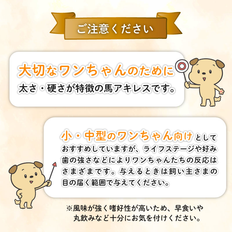 ドッグフード 馬アキレスロング 薄め 500g×1袋 【 馬 ドックフード アキレス ロング ペット おやつ ペット用品 犬用 500g 1袋 無添加 無着色 安心 安全 自然食品  ケーティーコモディティ KT 新潟県 新発田市 KT015 】