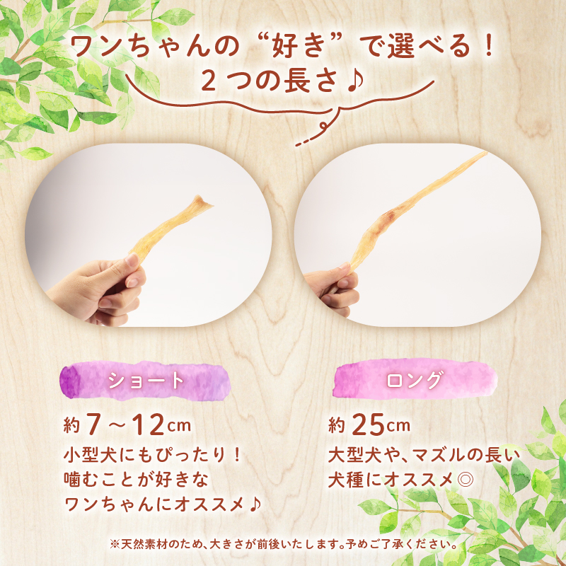 ドッグフード 牛アキレスロング 15本 【 牛 ドックフード アキレス ロング ペット おやつ ペット用品 犬用 無添加 無着色 国内製造 安心 安全 自然食品 ケーティーコモディティ KT 新潟県 新発田市 KT030】