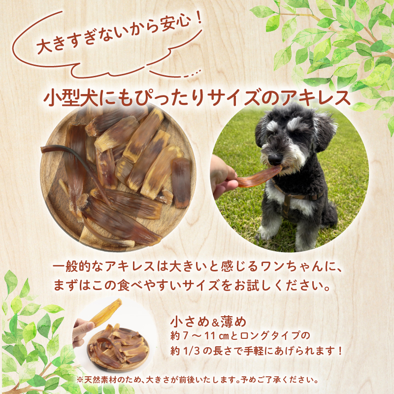 ドッグフード 馬アキレスショート平板 100g 【 馬 ドックフード アキレス ショート 平板 ペット おやつ ペット用品 犬用 無添加 無着色 国内製造 安心 安全 自然食品 ケーティーコモディティ KT 新潟県 新発田市 KT031 】