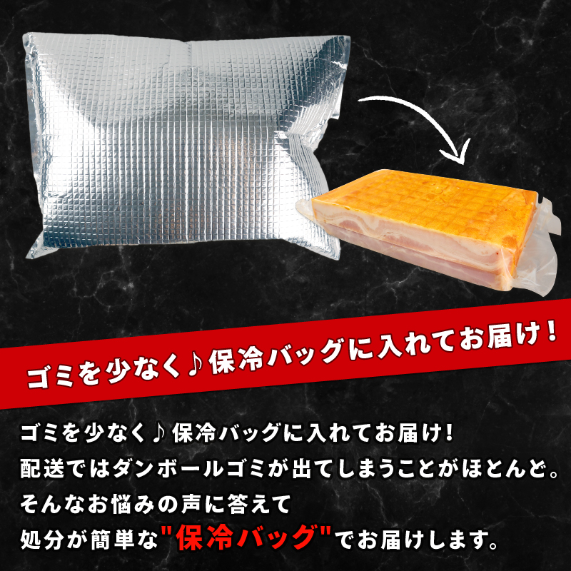 【2/26より寄附額値上げ】 ベーコン ブロック 3kg 加工肉 塊 豚肉 キャンプ バーベキュー アウトドア 豚バラ 料理 朝食 朝ごはん スライス ソテー サラダ スープ パスタ グルメ 食品 大容量 厚切り 越後ハム 新潟県 新発田市 echigohamu003-03