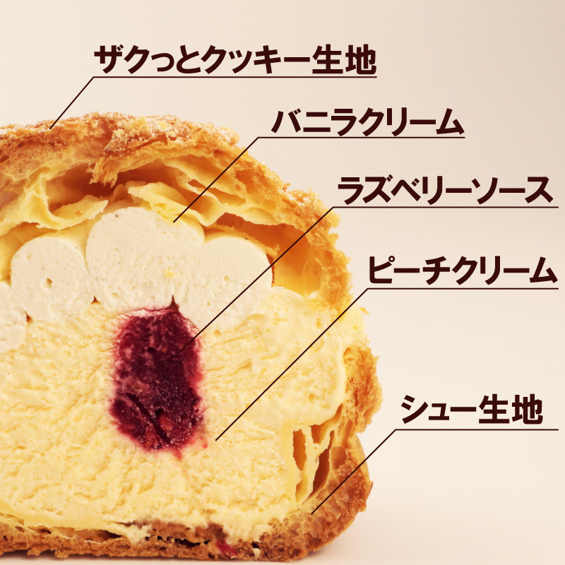 シュークリーム カスタード 4個 ピーチ ピーチメルバ アイス シュー アイス 贈答 ギフト スイーツ お菓子 おやつ デザート 洋菓子 焼菓子 個包装 小分け 新潟銘菓 新潟 新発田 蒲原 いえい 菜菓亭 iei005