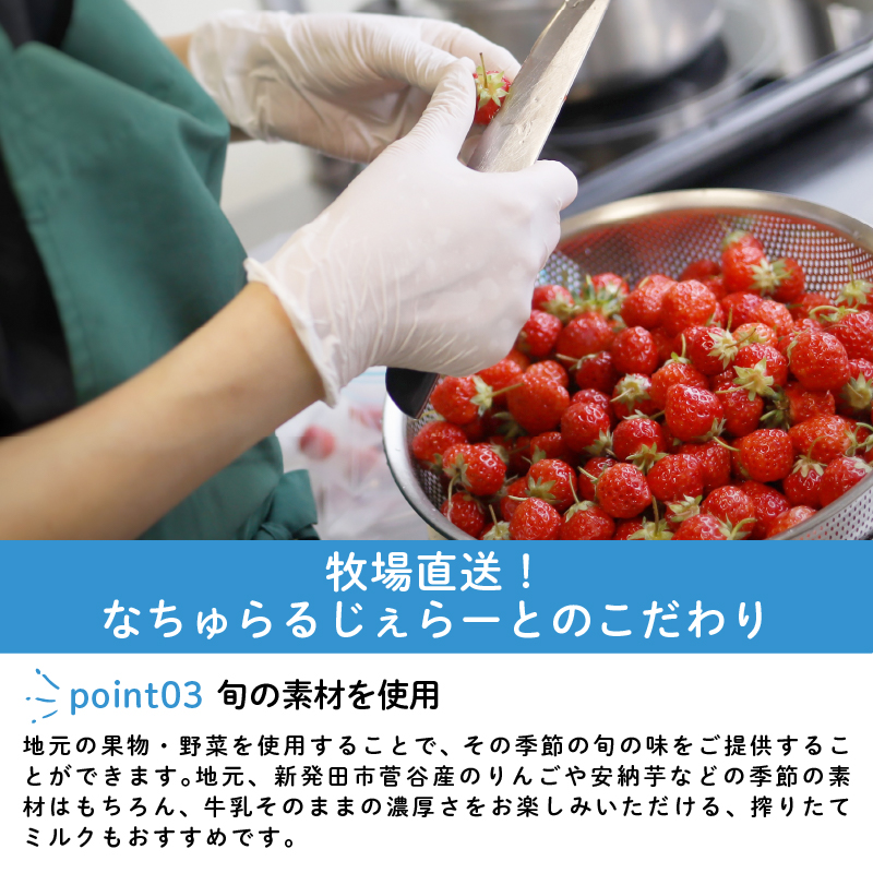 ジェラート 定期便 12個入 3回 ミルク チョコ ブルーベリー チーズ お茶 緑茶 紅茶 ほうじ茶 ラム レーズン ラムレーズン ピスタチオ 塩 キャラメル 塩キャラメル アイス ジェラート セット 季節 お茶 冨士美園 てづくり なちゅらるじぇらーと なかの牧場 12個 nakano012