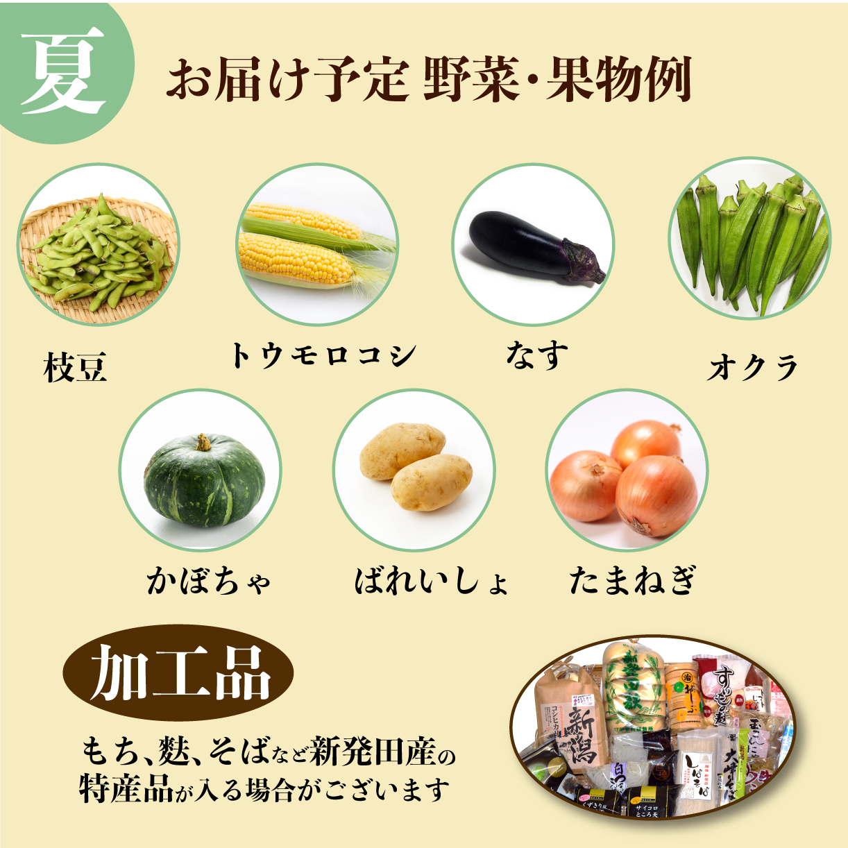 野菜 定期便 3回 8～12種類 旬 おまかせ 野菜BOX 詰め合わせ 野菜定期便 ふるさと納税野菜 やさい ていばん 詰め合わせ セット 産地直送 新鮮 新潟 新発田 seida009_01