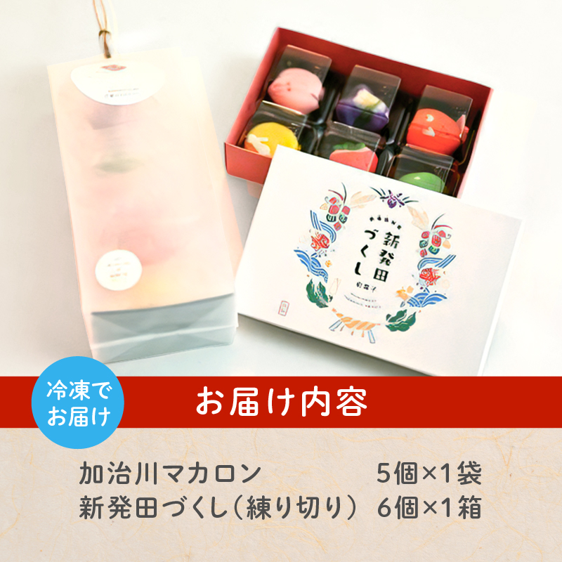 マカロン＆練切り しばたピクニック＆おみやげセット マカロン