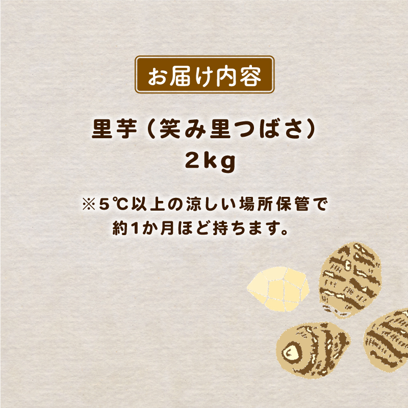 先行予約 里芋 2kg 笑み里つばさ さといも 煮物 産地直送 国産 農家直送 期間限定 数量限定 人気 限定 先行 予約 受付 事前予約 野菜 根菜 高橋農園  新潟県 新発田市 takahashi003