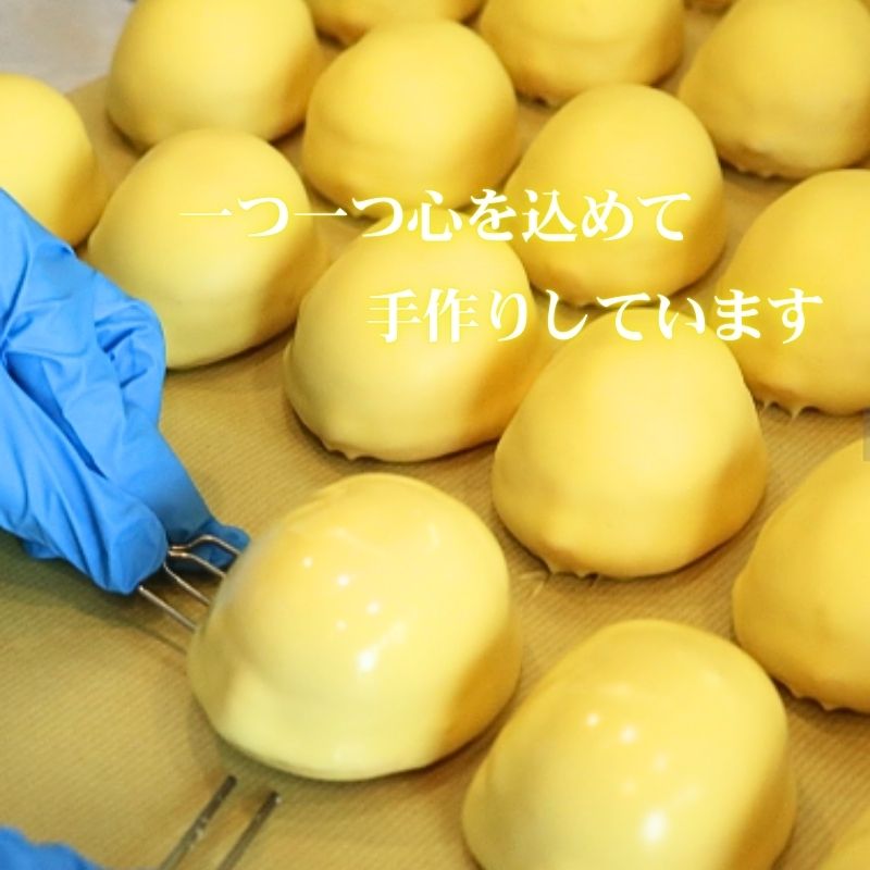 レモン美人 5個入り レモンケーキ レモン 檸檬 ケーキ お菓子 焼菓子 スイーツ レモンチョコ チョコ チョコレート デザート ギフト プチギフト プレゼント お土産 結城堂 新潟県 新発田市 yukido006