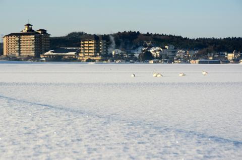 月岡温泉旅館感謝券(90,000円分) 【 温泉 旅行 感謝券 旅行券 宿泊券 ...