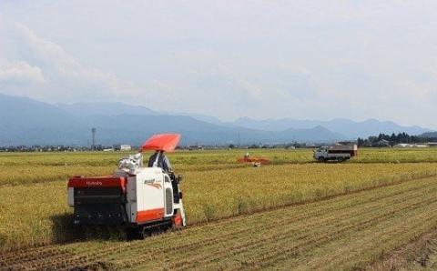 令和5年産 JA北新潟米 食べ比べセット 今摺米 【 新潟 新発田 米 食べ比べ 特別栽培米 コシヒカリ 新之助 こしいぶき 6kg 2kg 3袋 JA北新潟 今ずり米 D62 】