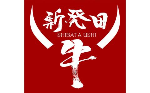 新発田牛　ステーキサーロイン2人前　200ｇ×2枚 H18_01