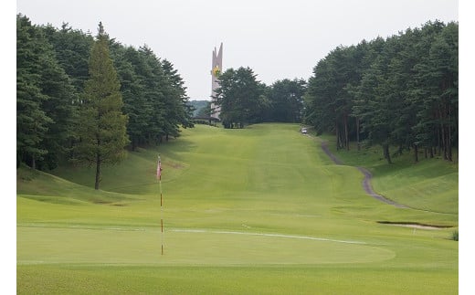 新発田市内ゴルフ場共通感謝券(300,000円分) 【 温泉 旅行 感謝券 旅行券 宿泊券 利用券 宿泊 新潟 ゴルフ 月岡 A02_100 】
