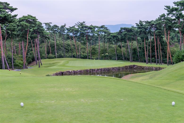 新発田市内ゴルフ場共通感謝券(900,000円分) 【 温泉 旅行 感謝券 旅行券 宿泊券 利用券 宿泊 新潟 ゴルフ 月岡 A02_300 】