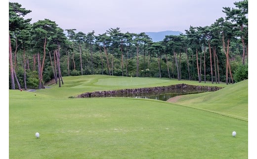 新発田市内ゴルフ場共通感謝券(120,000円分) 【 温泉 旅行 感謝券 旅行券 宿泊券 利用券 宿泊 新潟 ゴルフ 月岡 A02_40 】