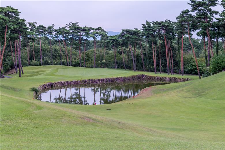 【ゴルフ】新発田市内 共通感謝券 旅行券 宿泊券 利用券 新潟 月岡 A02