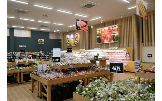 新発田産 旬の野菜セット【 JA北新潟 野菜セット 直売所 食育ソムリエ 旬 C08 】