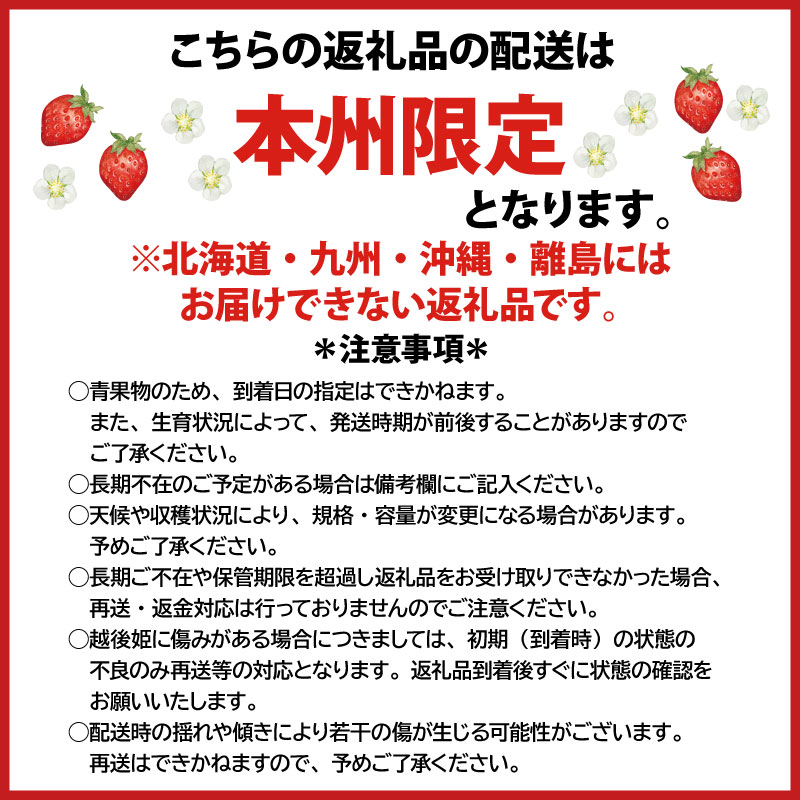 いちご 越後姫 3L～2L 24粒 30粒 採れたて 苺 イチゴ 新潟県 新発田市 えちごひめ 朝どれ 大きい 甘い 生産者直送 農家 直送 数量限定 季節限定 期間限定 C11_02