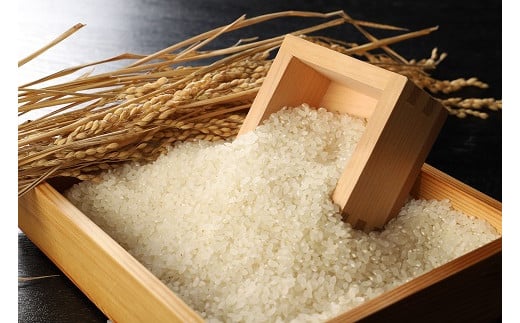 令和5年産 特別栽培米コシヒカリ 3合×10個　【 新潟県産 新発田市産 コシヒカリ 米 特別栽培米 3合 10個 450g セット D48 】