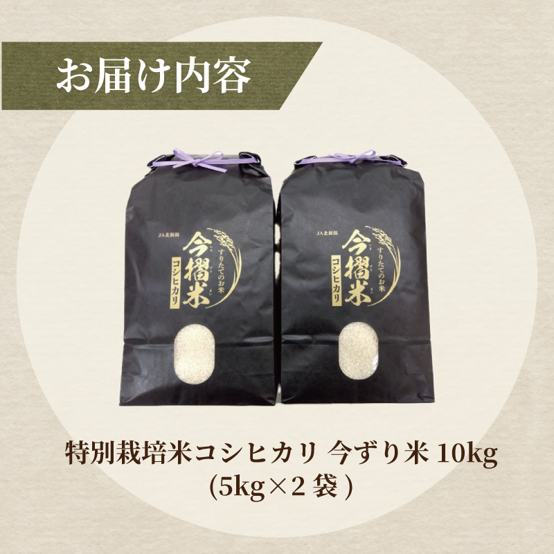 令和5年産 JA北新潟 特別栽培米コシヒカリ 5㎏×2袋 今摺米　【 新潟県産 新発田 特別栽培米 コシヒカリ 5kg 2袋 今ずり米 JA北新潟 10kg D50 】