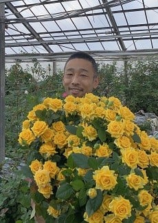 そのまま飾れる花瓶付バラのブーケMサイズ 12本 【 バラ 生花 花束 フラワーアレンジメント 記念日 母の日 父の日 ギフト プレゼント 花 ブーケ 12本 G08_02 】