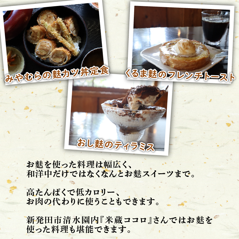 新潟の麩 6種まるごと食べ比べセット 【 新潟 麩 宮村製麩所 食べ比べ セット 6種 車麩 新発田麩 焼麩 I28 】