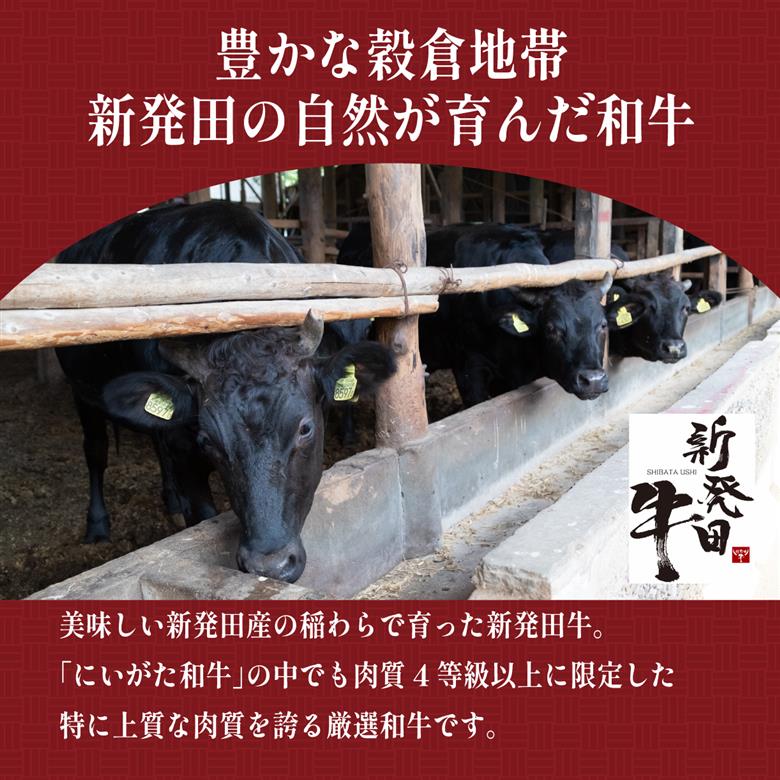 新発田牛 カレー すき焼き煮 しぐれ煮 3種 各2袋 計6袋 パック 詰合せ セット ｜ 肉 牛肉 牛 新発田牛 カレー すき焼き しぐれ煮 にいがた和牛 ブランド牛 簡単 簡単調理 個包装 セット 贈答 マルコ岩村 新潟県 新発田市 J43