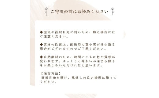 ドライフラワー リース ホワイト×ゴールド 【 クリスマス クリスマス飾り ハンドメイド 手作り 天然素材 リース 壁飾り おしゃれ 玄関飾り 季節限定 インテリア ギフト プレゼント 贈答用 お取り寄せ ナチュラルデザイン クリスマスデコレーション 冬のインテリア OLIOLI FLOWER 新潟県 新発田市 母の日 OLIOLI002 】