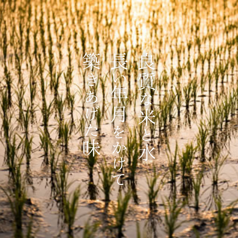 王紋酒造 純米大吟醸 みず穂 720ml 桐箱入り ｜ 王紋 日本酒  純米 大吟醸 酒 お酒 地酒 食中酒 ペアリング ギフト プレゼント 父の日 お歳暮 お中元 年末年始 新潟県 新発田市 aumont007