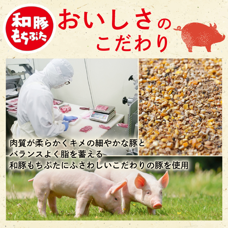 豚肉 切り落とし 和豚 もちぶた 小間切れ 1kg ブランド豚 和豚もちぶた ブランド 美味しい豚 豚肉 肉 にく 肉料理 夕食 晩ごはん ポーク おかず 小分け 便利 肉の片山 新潟県 新発田市 katayama003