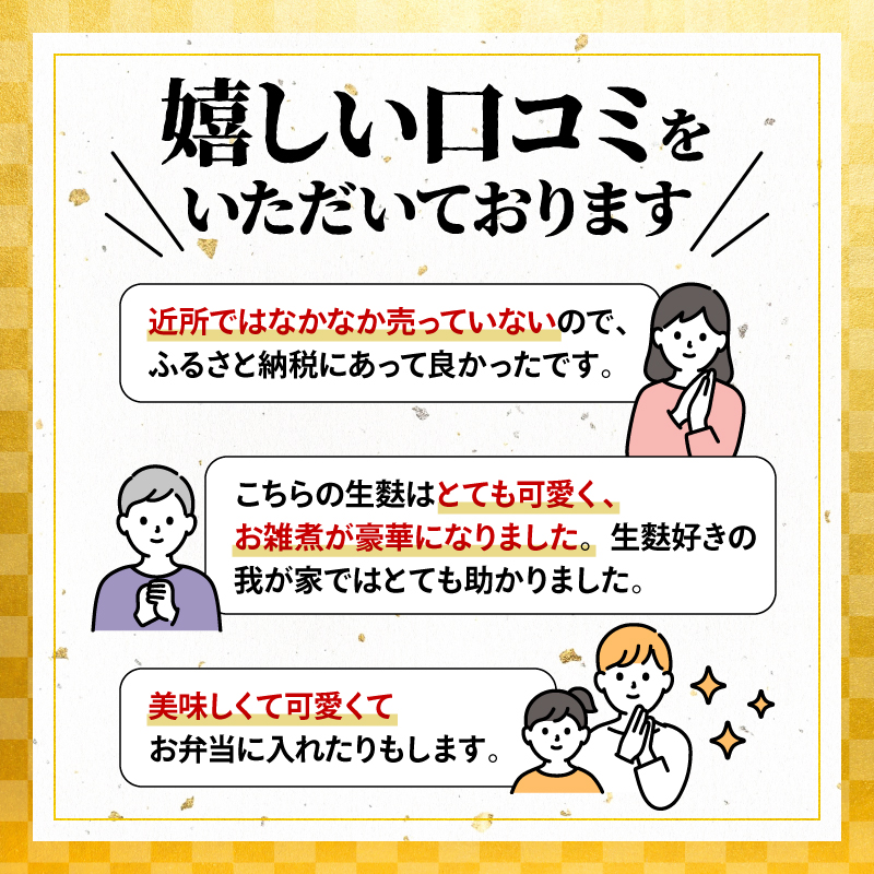 生麩 4種 セット 【 お祝い 冷凍 正月 年末 特別 縁起物 華やか 料理 ひょうたん さくら うめ 紅葉 もみじ おもてなし おせち 母の日 ギフト プレゼント 年末 年始 お歳暮 お中元 お盆 宮村製麩所 新発田 新潟 miyamura002 】