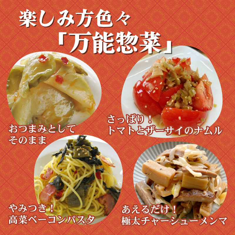 中華惣菜 3種セット ザーサイ 高菜 メンマ サラダ おつまみ おやつ 3種詰め合わせ ごはんのお供 本格中華 簡単 時短 冷蔵 宮野食品工業所 新潟県 新発田市 miyano012