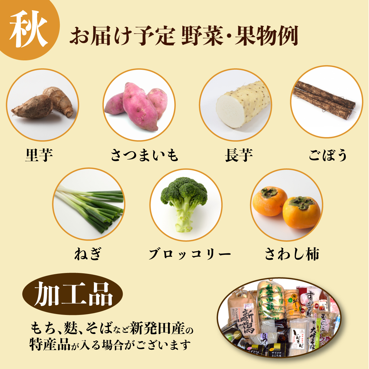 野菜 定期便 3回 8～12種類 旬 おまかせ 野菜BOX 詰め合わせ 野菜定期便 ふるさと納税野菜 やさい ていばん 詰め合わせ セット 産地直送 新鮮 新潟 新発田 seida009_01