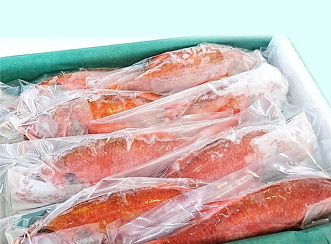 ノドグロ 10尾セット 1尾 約100g以上 新潟 日本海産 高級魚 アカムツ 新鮮 真空 急速冷凍 冷凍 魚介類 日本海 新潟産 国産 松竹梅 魚介 年末 推し【梅】uomizushima005