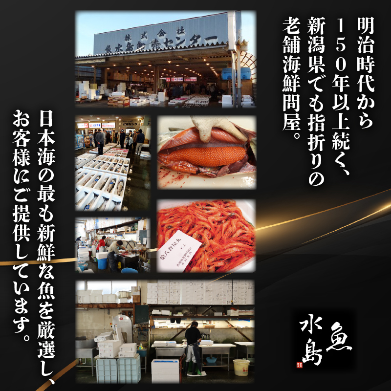 ノドグロ  約1000g以上 1尾 1kg 新潟 日本海産 高級魚 新発田 アカムツ 新鮮 真空 急速冷凍 冷凍 魚介類 推し 日本海 新潟産 国産 uomizushima009