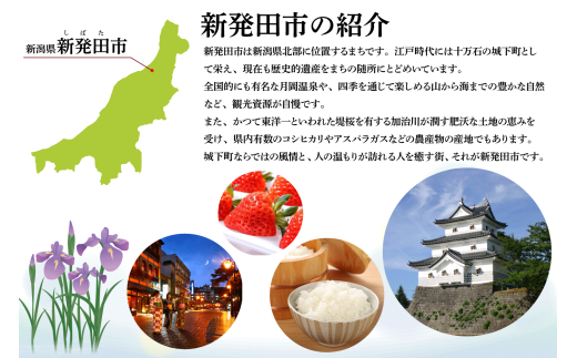 ドッグフード とさか細切り 100g 【 鶏 とさか ドックフード 細切り ペット おやつ ペット用品 犬用 無添加 無着色 国内製造 安心 安全 自然食品 ケーティーコモディティ KT 新潟県 新発田市 KT048 】