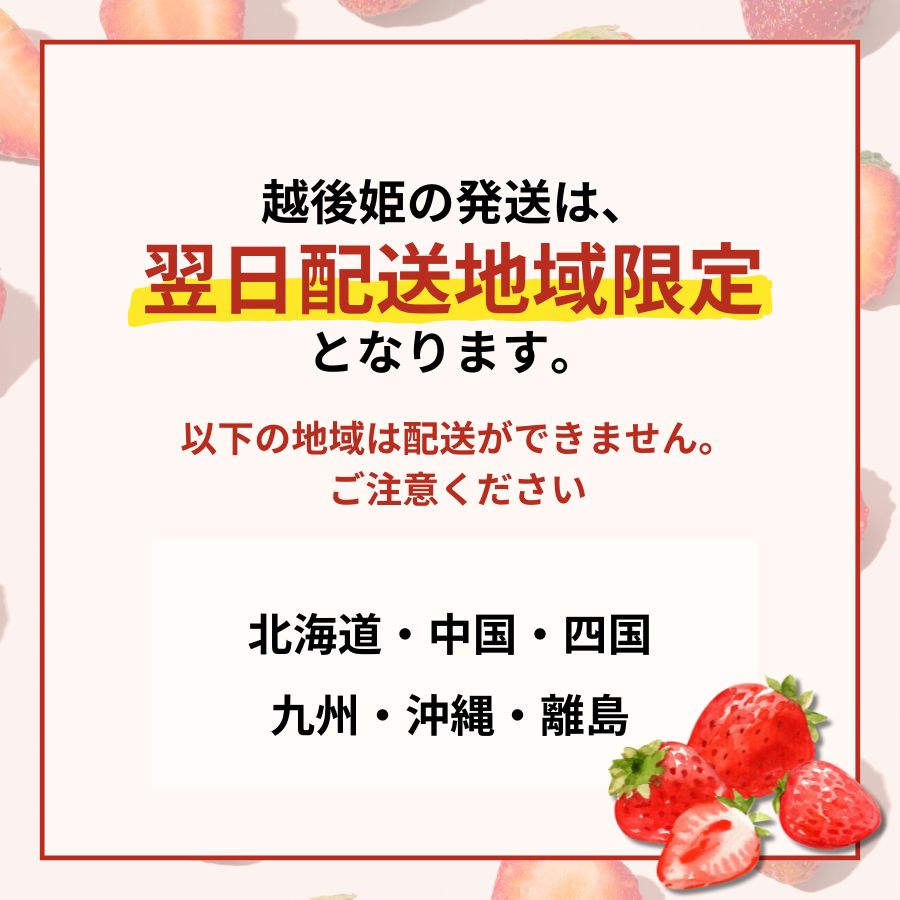 【2026年1月中旬発送開始】 いちご 越後姫 １パック 【 果物 いちご おやつ 健康 フルーツ スイーツ スイーツ作り ケーキ ケーキ作り 数量限定 先行予約 新潟県 新発田市 shibatafarm001 】