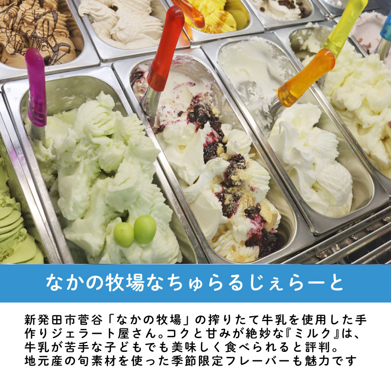 ジェラート 定期便 12個入 3回 ミルク チョコ ブルーベリー チーズ お茶 緑茶 紅茶 ほうじ茶 ラム レーズン ラムレーズン ピスタチオ 塩 キャラメル 塩キャラメル アイス ジェラート セット 季節 お茶 冨士美園 てづくり なちゅらるじぇらーと なかの牧場 12個 nakano012