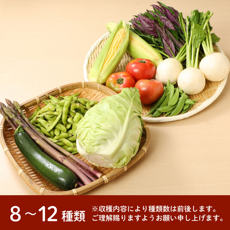 野菜 定期便 3回 8～12種類 旬 おまかせ 野菜BOX 詰め合わせ 野菜定期便 ふるさと納税野菜 やさい ていばん 詰め合わせ セット 産地直送 新鮮 新潟 新発田 seida009_01