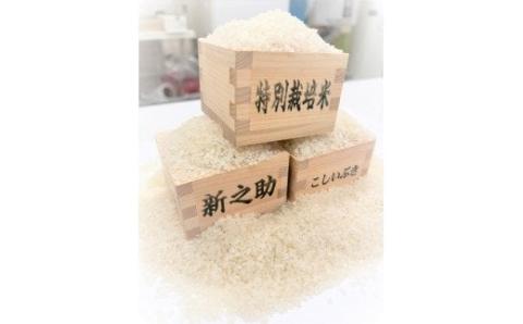 令和5年産 JA北新潟米 食べ比べセット 今摺米 【 新潟 新発田 米 食べ比べ 特別栽培米 コシヒカリ 新之助 こしいぶき 6kg 2kg 3袋 JA北新潟 今ずり米 D62 】