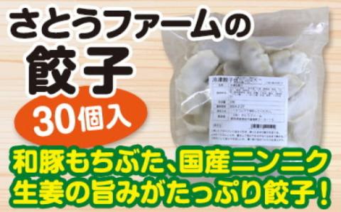 冷凍もちぶた餃子 30個入 × 2袋 【 冷凍 餃子 30個 2袋 60個 もちぶた 簡単 さとうファーム 焼くだけ I70 】
