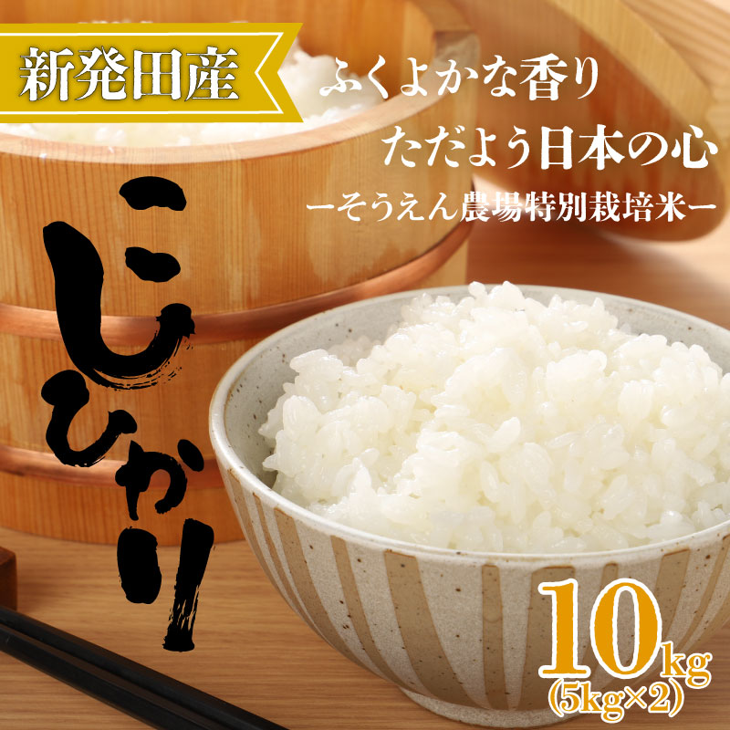 令和7年産 新潟県産 コシヒカリ 10kg 5kg×2袋 そうえん米 特別栽培米 お米 米 kome 白米 ご飯 こめ ごはん ライス ふるさと納税米 コシヒカリ お弁当 玄米 そうえん米 数量限定 5kg × 2袋 とんとん市場 せいだ 新潟 新発田 D09_04