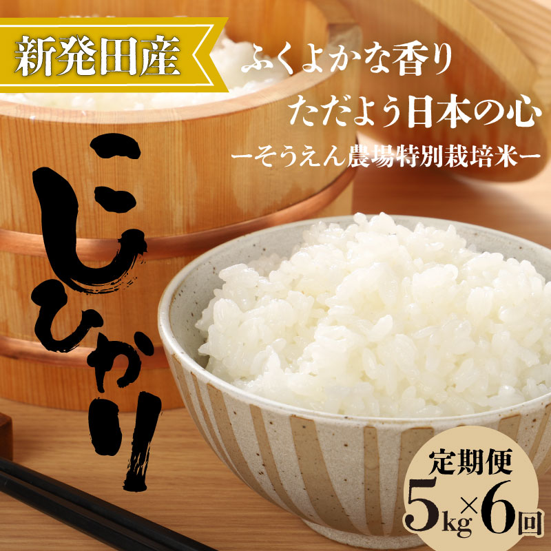 【定期便】令和7年産 新潟県産 コシヒカリ 5㎏×6か月 新潟県 新潟産 定期便 新潟米 新発田産 新発田 お米 米 そうえん米コシヒカリ 5kg 30kg 6か月 定期便 数量限定 とんとん市場 せいだ 新潟県 新発田市 D11_04