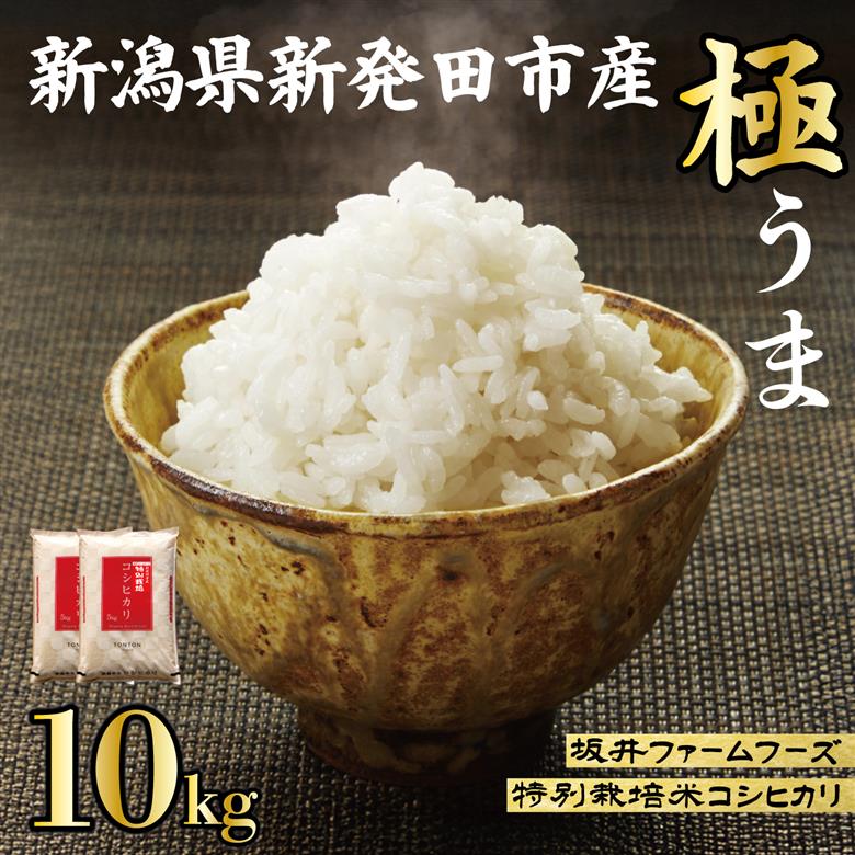 令和7年産 新潟県産 コシヒカリ 10kg (5kg×2袋) 坂井ファーム 特別栽培米コシヒカリ 新潟 新発田 米 玄米 精米 白米 ご飯 おにぎり 弁当 こしひかり おこめ せいだ 新潟 新発田 D34_04