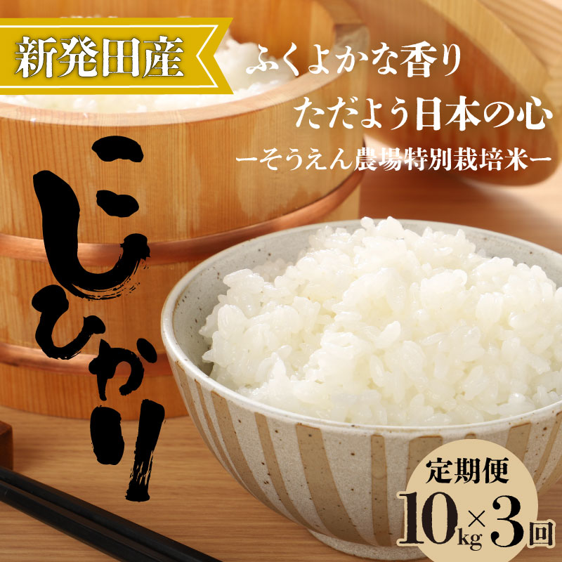 【定期便】令和7年産 新潟県産 コシヒカリ 10㎏×3か月 新潟県 新潟産 定期便 新潟米 新発田産 新発田 お米 米 そうえん米コシヒカリ 5kg 10kg 30kg 3か月 定期便 数量限定 とんとん市場 せいだ 新潟県 新発田市 D39_04
