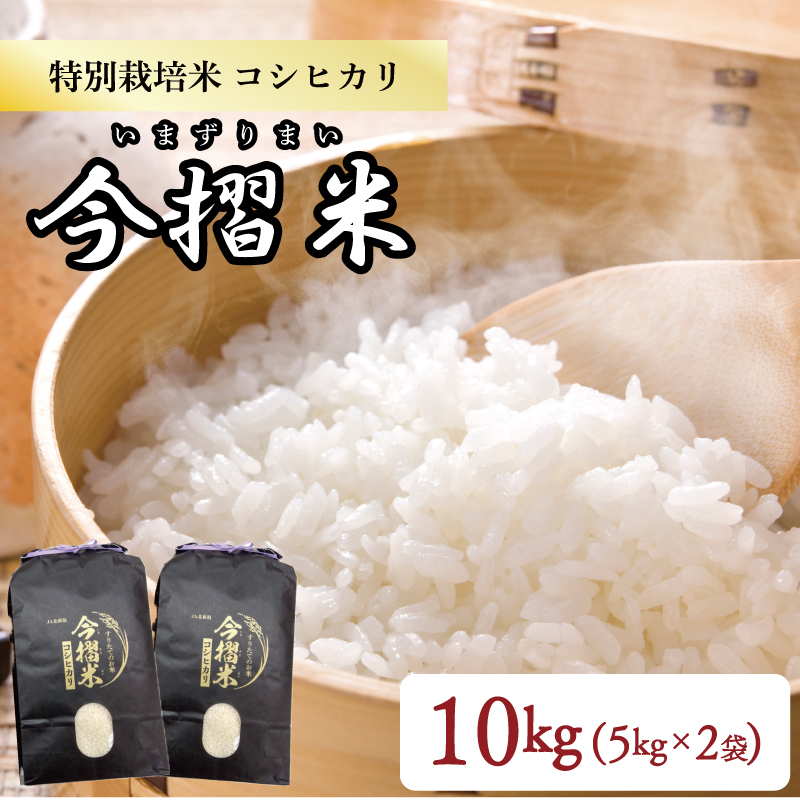 令和5年産 JA北新潟 特別栽培米コシヒカリ 5㎏×2袋 今摺米　【 新潟県産 新発田 特別栽培米 コシヒカリ 5kg 2袋 今ずり米 JA北新潟 10kg D50 】