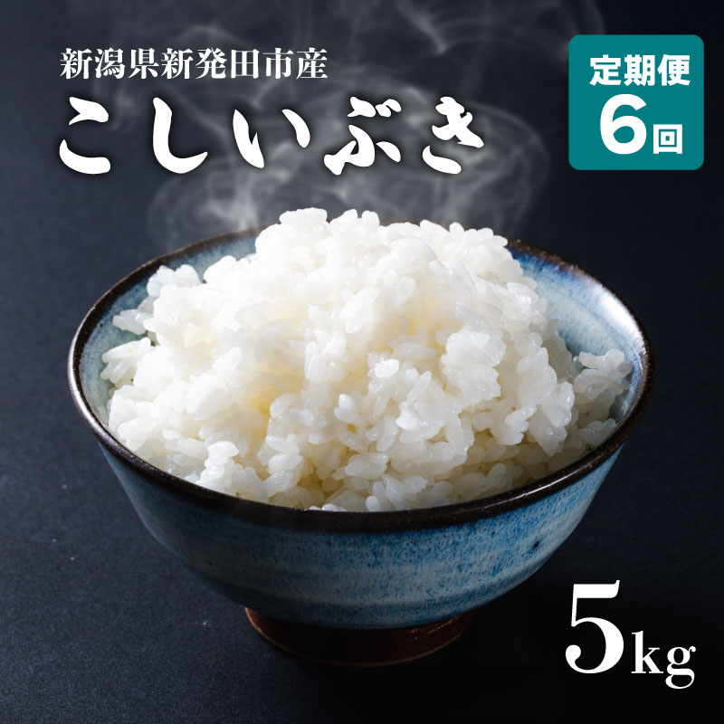 【定期便】 令和7年産 新潟県産 こしいぶき 5㎏×6か月 【 新潟県 新潟産 新潟米 新発田産 新発田 お米 米 こしいぶき とんとん市場 せいだ 5kg 30kg 6か月 半年 定期便 数量限定 玄米 D56_04 】