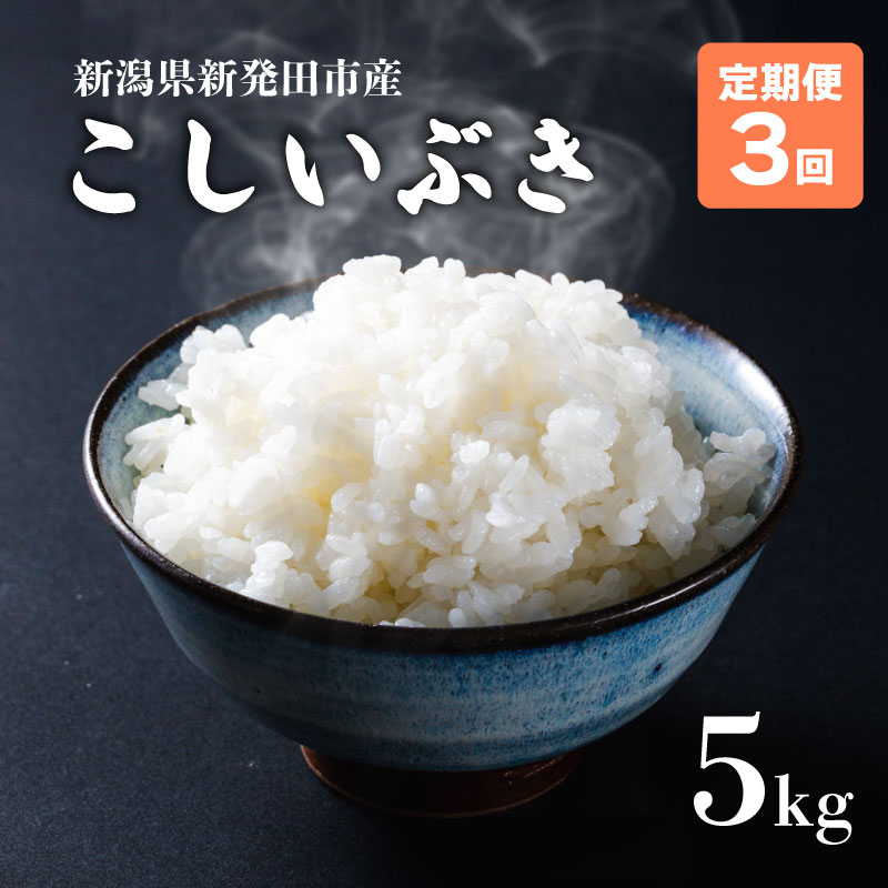【定期便】 令和7年産 新潟県産こしいぶき 5㎏×3か月 【 新潟県 新潟産 新潟米 新発田産 新発田 お米 米 こしいぶき とんとん市場 せいだ 5kg 15kg 3か月 定期便 数量限定 玄米 D58_04 】