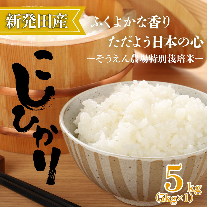 令和7年産 新潟県産 コシヒカリ 5kg そうえん米 特別栽培米 お米 米 kome 白米 ご飯 こめ ごはん ライス ふるさと納税米 コシヒカリ お弁当 玄米 そうえん米 数量限定 とんとん市場 せいだ 新潟 新発田 D81_03